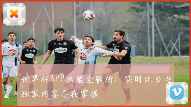 世界杯APP功能全解析：实时比分与独家内容尽在掌握